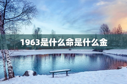 1963是什么命是什么金