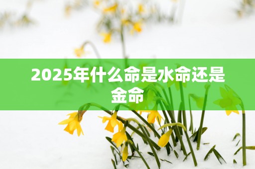 2025年什么命是水命还是金命