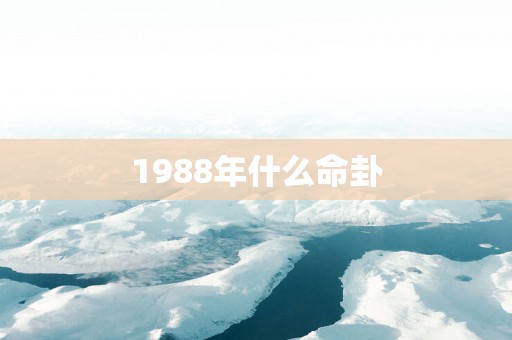 1988年什么命卦