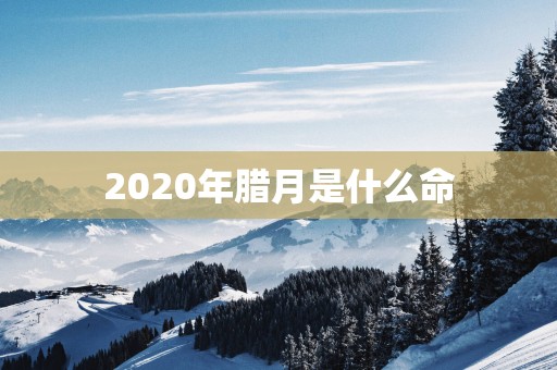 2025年腊月是什么命