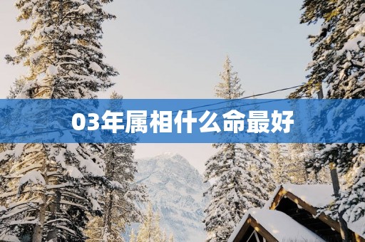 03年属相什么命最好