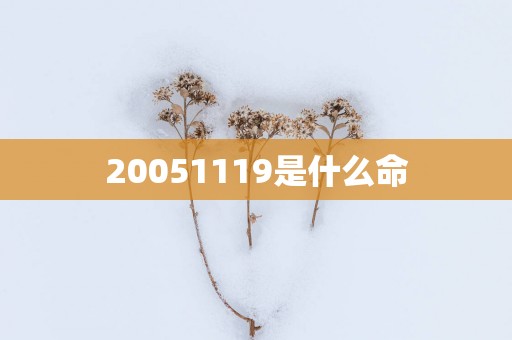 20051119是什么命