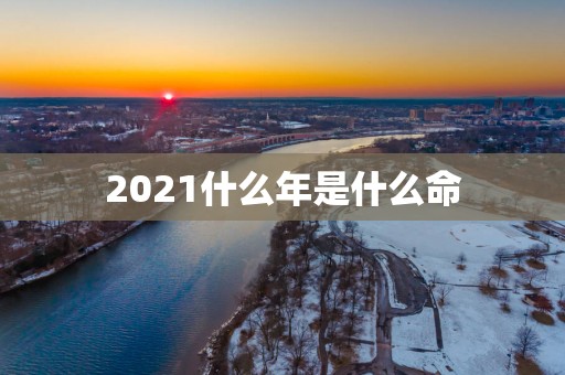 2025什么年是什么命
