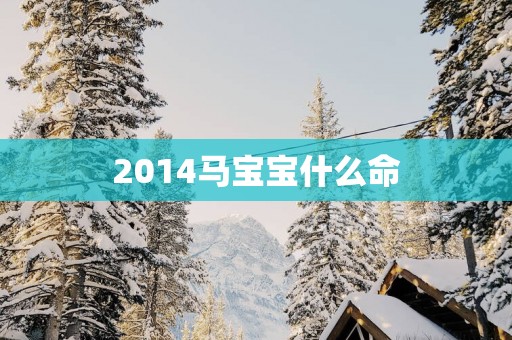 2014马宝宝什么命