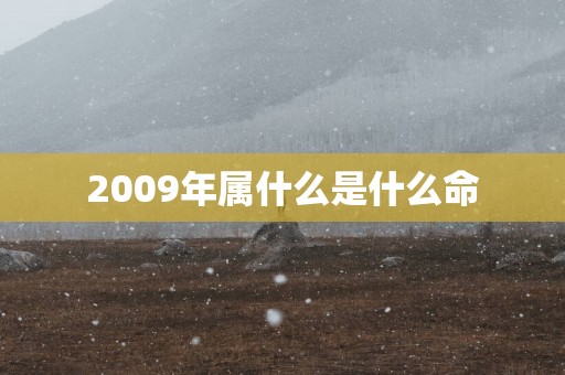 2009年属什么是什么命