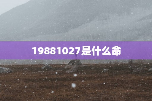 19881027是什么命