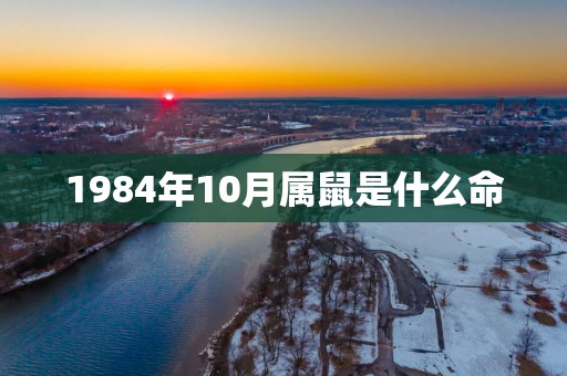 1984年10月属鼠是什么命