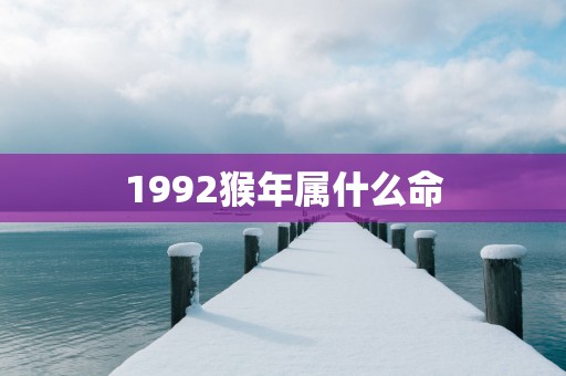 1992猴年属什么命