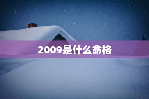 2009是什么命格