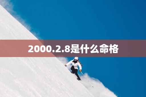 2000.2.8是什么命格