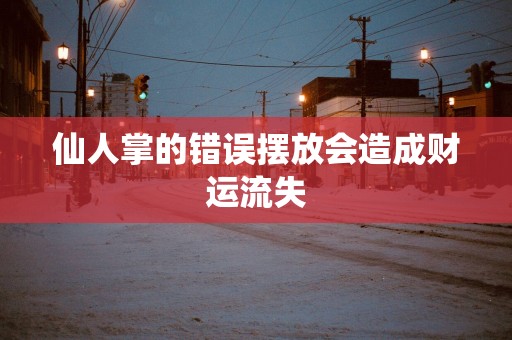 仙人掌的错误摆放会造成财运流失