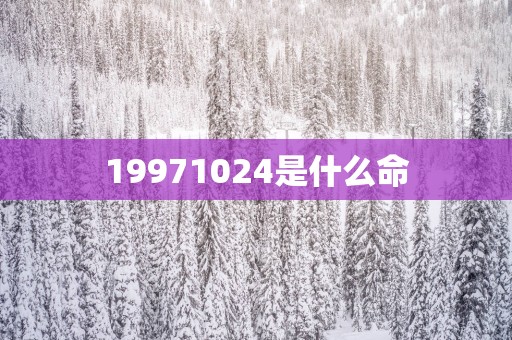 19971024是什么命