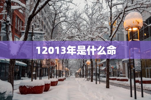 12013年是什么命