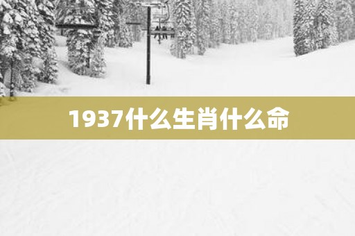 1937什么生肖什么命