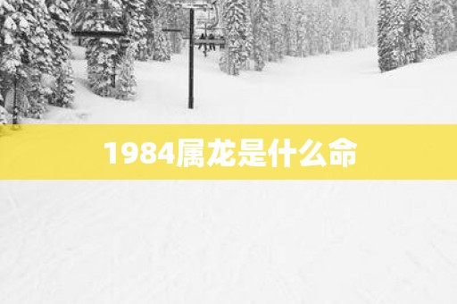 1984属龙是什么命