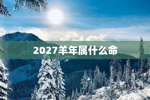 2027羊年属什么命
