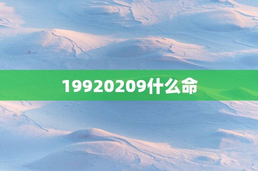 19920259什么命