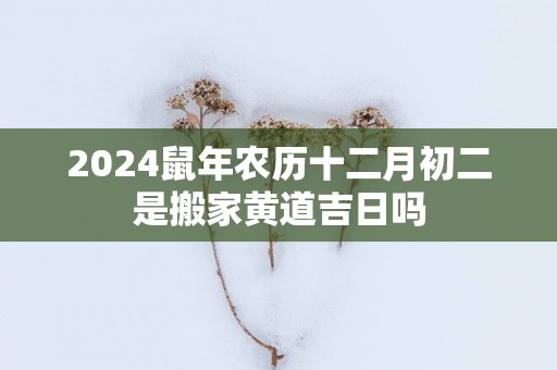 2025蛇年农历十二月初二是搬家黄道吉日吗