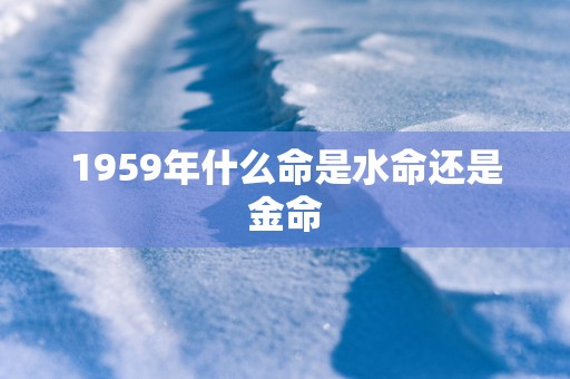 1959年什么命是水命还是金命