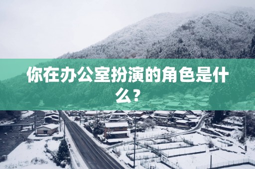 你在办公室扮演的角色是什么？