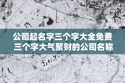公司起名字三个字大全免费 三个字大气聚财的公司名称