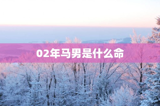 02年马男是什么命