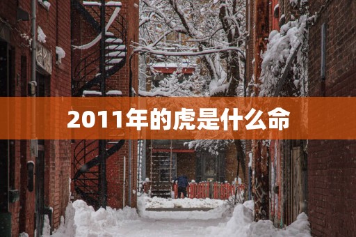 2011年的虎是什么命