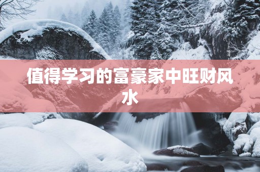 值得学习的富豪家中旺财风水