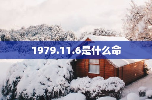 1979.11.6是什么命