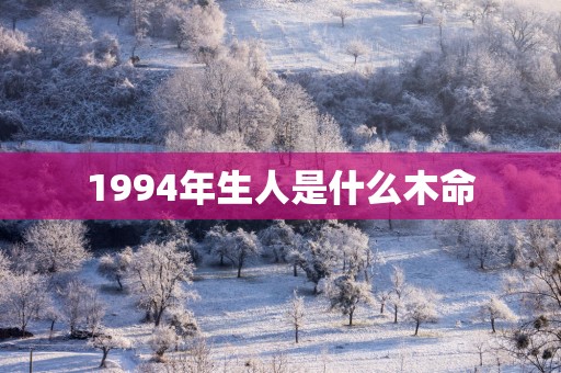 1994年生人是什么木命