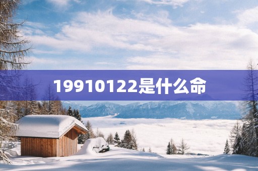 19910122是什么命