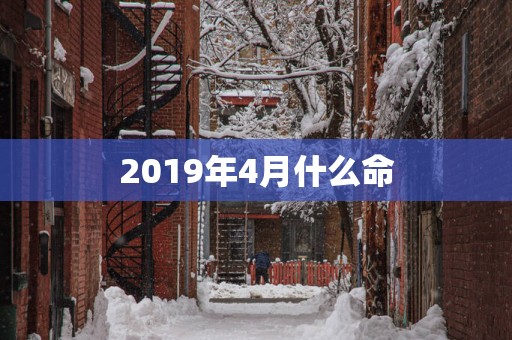 2019年4月什么命