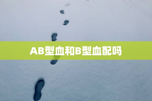 AB型血和B型血配吗
