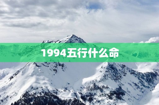 1994五行什么命