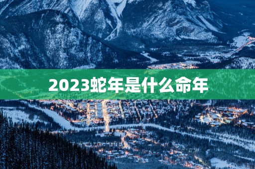 2025蛇年是什么命年