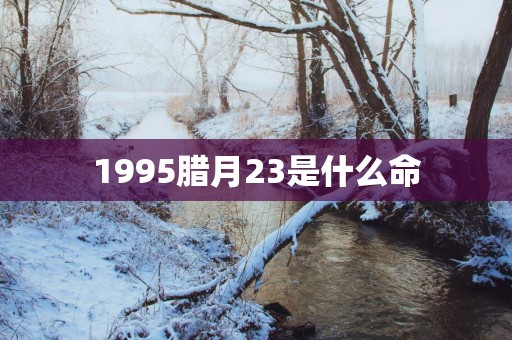 1995腊月23是什么命