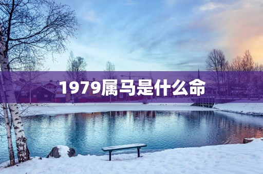 1979属马是什么命