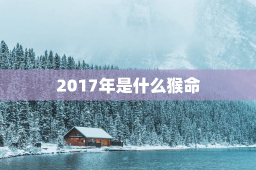 2017年是什么猴命