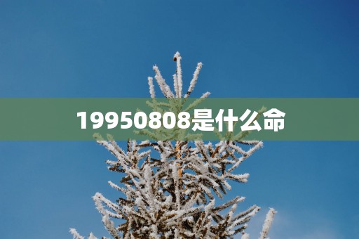 19950808是什么命