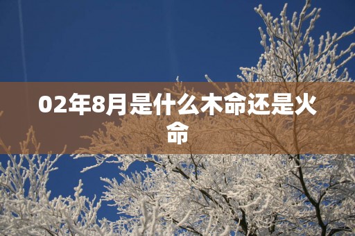 02年8月是什么木命还是火命