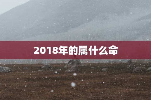 2018年的属什么命