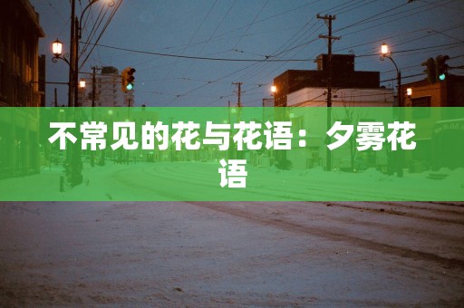 不常见的花与花语：夕雾花语