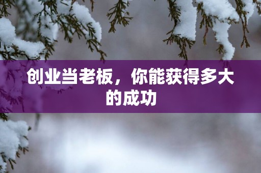 创业当老板，你能获得多大的成功