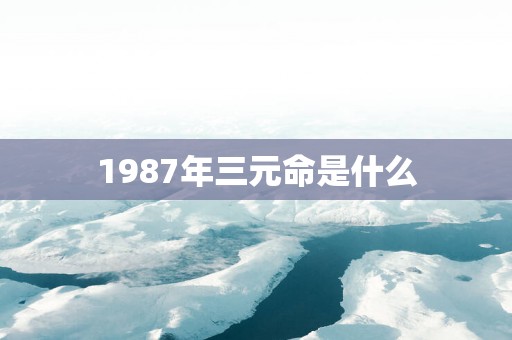 1987年三元命是什么