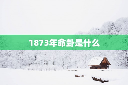 1873年命卦是什么