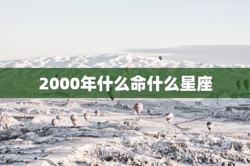 2000年什么命什么星座