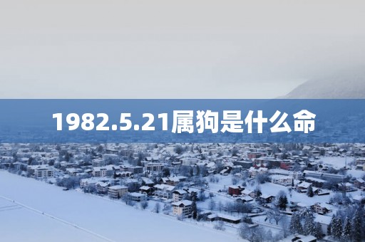 1982.5.21属狗是什么命