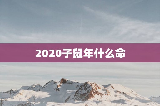 2025子蛇年什么命