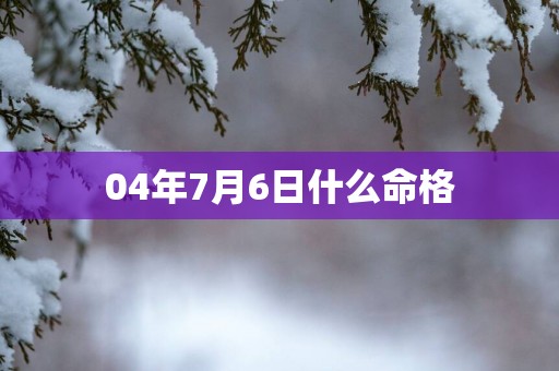 04年7月6日什么命格