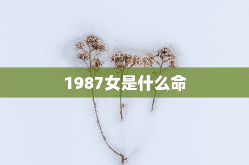 1987女是什么命